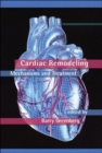 Image for Cardiac Remodeling : Mechanisms and Treatment