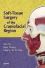 Image for Soft-tissue surgery of the craniofacial region