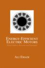 Image for Energy-Efficient Electric Motors, Revised and Expanded