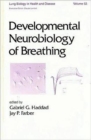 Image for Developmental Neurobiology of Breathing