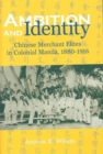 Image for Ambition and Identity : Chinese Merchant Elites in Colonial Manila, 1880-1916