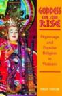 Image for Goddess on the Rise : Pilgrimage and Popular Religion in Vietnam