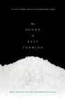 Image for The Sound of Salt Forming