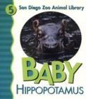 Image for Baby Hippopotamus