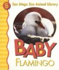 Image for Baby Flamingo