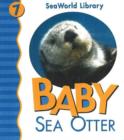 Image for Baby Sea Otter