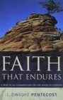 Image for Faith That Endures – A Practical Commentary on the Book of Hebrews