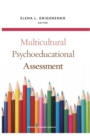 Image for Multicultural Psychoeducational Assessment