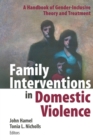 Image for Family Interventions in Domestic Violence : A Handbook of Gender-inclusive Theory and Treatment
