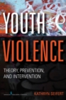 Image for Youth Violence: Theory, Prevention, and Intervention
