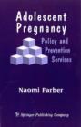 Image for Adolescent Pregnancy : Policy and Prevention Practices