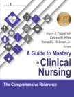 Image for A Guide to Mastery in Clinical Nursing : The Comprehensive Reference