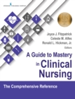 Image for A guide to mastery in clinical nursing: the comprehensive reference