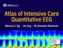 Image for Atlas of Intensive Care Quantitative EEG