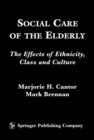 Image for Social care of the elderly: the effects of ethnicity, class, and culture