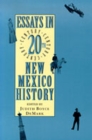 Image for Essays in 20th Century Nm Hist