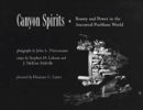 Image for Canyon spirits  : beauty &amp; power in the ancestral Puebloan world