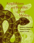 Image for Amphibians and Reptiles of New Mexico