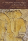 Image for The monuments of Piedras Negras, an ancient Maya city