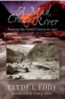 Image for A Mad, Crazy River