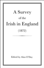 Image for Survey of the Irish in England (1872)