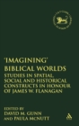 Image for Imagining&#39; Biblical Worlds : Studies in Spatial, Social and Historical Constructs in Honour of James W. Flanagan