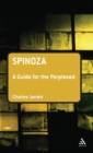 Image for Spinoza: A Guide for the Perplexed