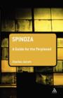 Image for Spinoza  : a guide for the perplexed