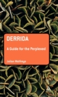 Image for Derrida  : a guide for the perplexed