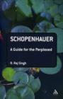Image for Schopenhauer  : a guide for the perplexed