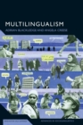 Image for Multilingualism  : a critical perspective