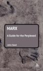 Image for Marx: A Guide for the Perplexed