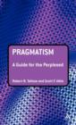 Image for Pragmatism  : a guide for the perplexed