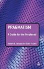 Image for Pragmatism  : a guide for the perplexed
