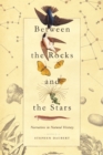 Image for Between the Rocks and the Stars