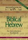 Image for Biblical Hebrew: An Introductory Textbook