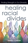 Image for Healing Racial Divides