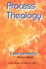 Image for Process Theology; A Basic Introduction