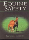 Image for Equine Safety