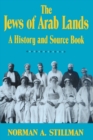 Image for The Jews of Arab Lands