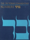 Image for The JPS Torah Commentary: Numbers