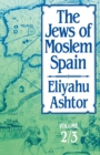 Image for The Jews of Moslem SpainVolume 2/3