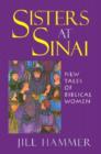 Image for Sisters at Sinai