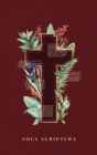 Image for NBLA Santa Biblia, Letra Grande, Tapa Dura, Sola Scriptura