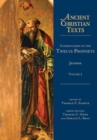 Image for Commentaries on the Twelve Prophets – Volume 1