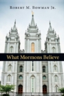 Image for What Mormons Believe