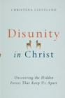 Image for Disunity in Christ – Uncovering the Hidden Forces that Keep Us Apart
