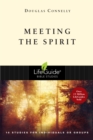 Image for Meeting the Spirit