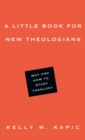 Image for A little book for new theologians: why and how to study theology