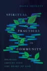 Image for Spiritual practices in community: drawing groups into the heart of God
